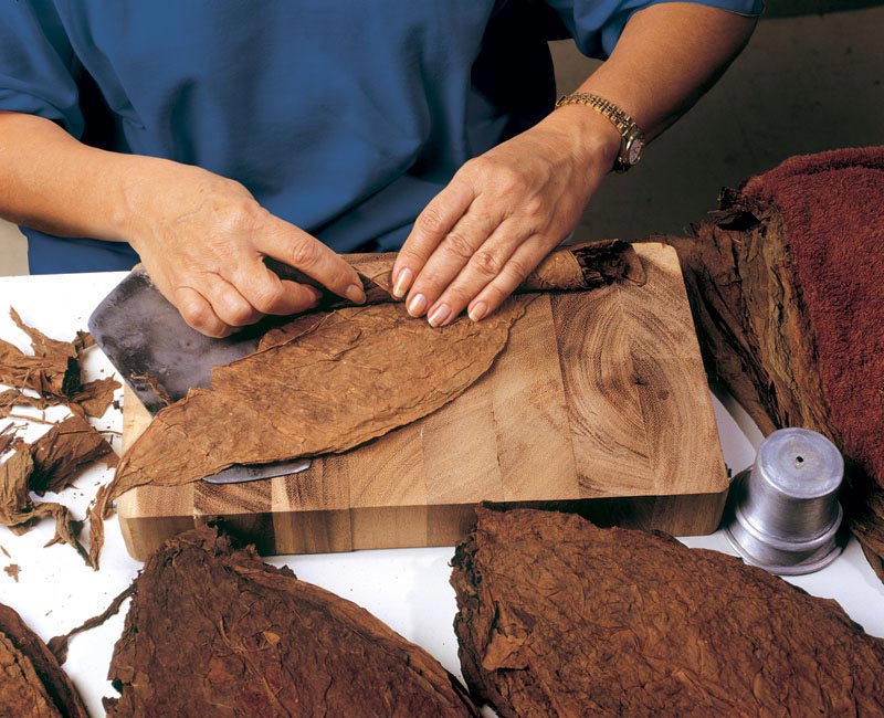 Master roller crafting a handmade cigar